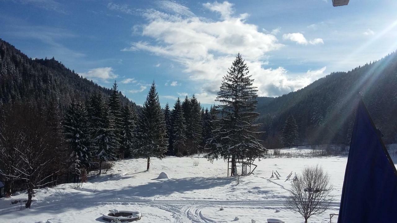 Pensiunea Poiana Soarelui Brates Dış mekan fotoğraf