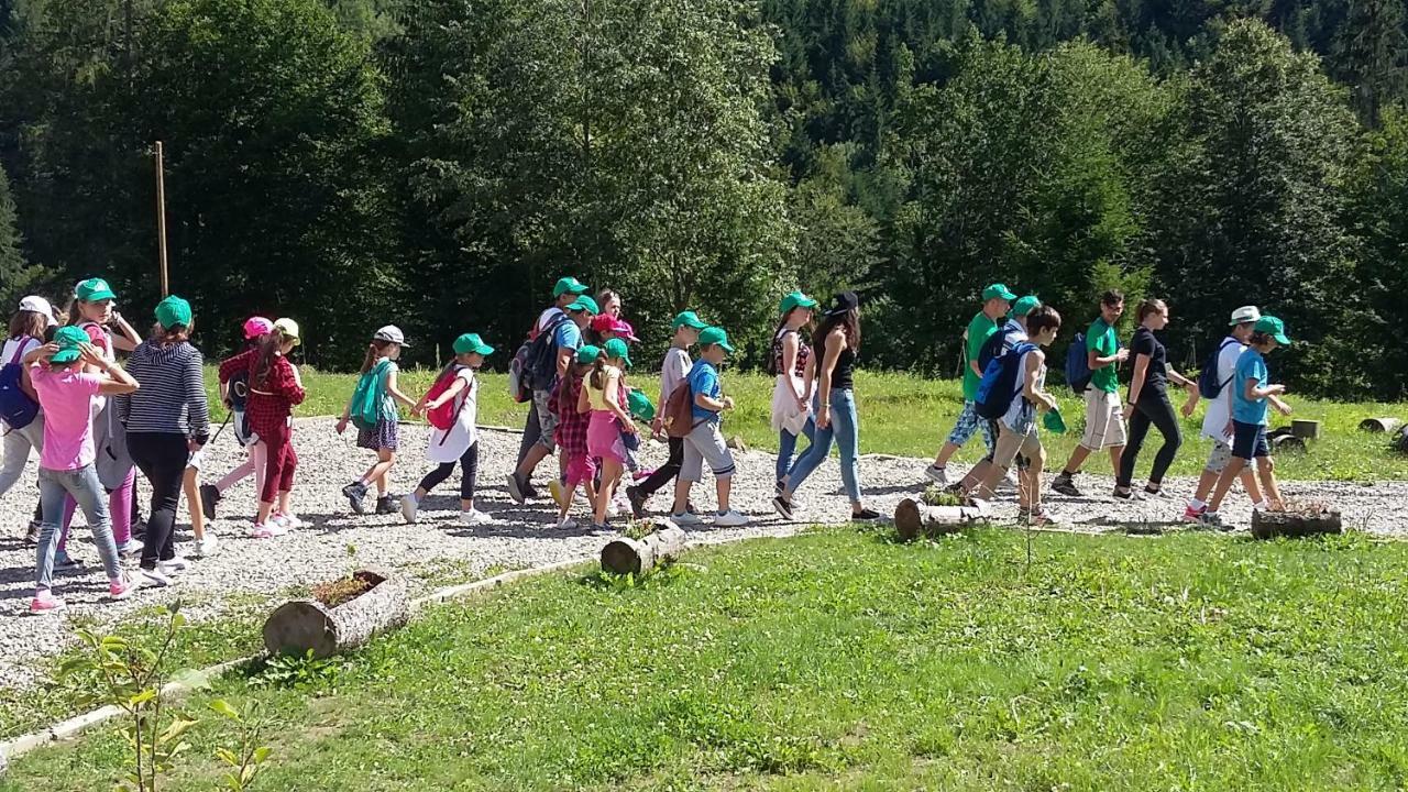 Pensiunea Poiana Soarelui Brates Dış mekan fotoğraf