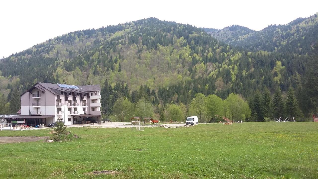 Pensiunea Poiana Soarelui Brates Dış mekan fotoğraf