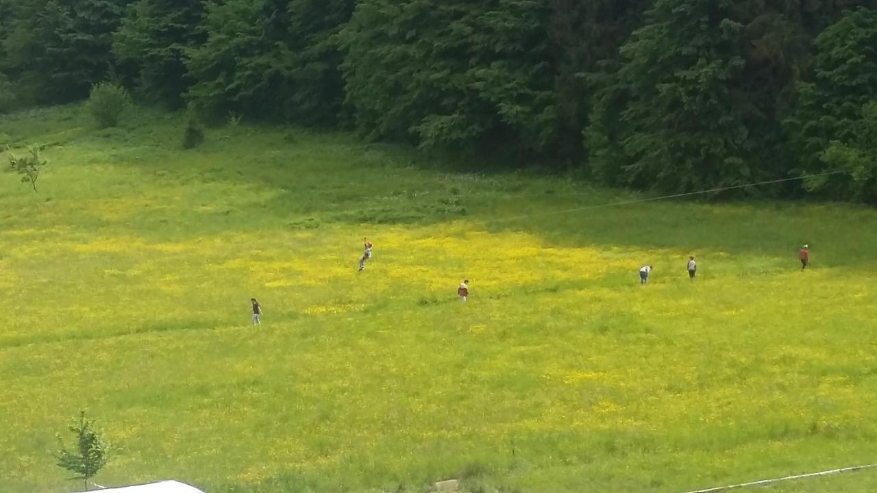 Pensiunea Poiana Soarelui Brates Dış mekan fotoğraf